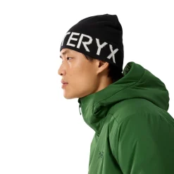 Arc'teryx Word Head Toque, hue (Orca)