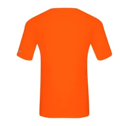 Asivik T-shirt "Retro Logo", herre