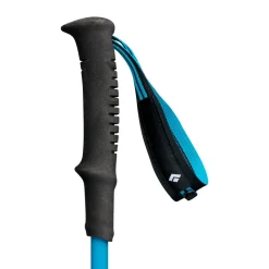 Black Diamond Distance Carbon FLZ vandrestave 110 - 125 cm (Desert Sky)