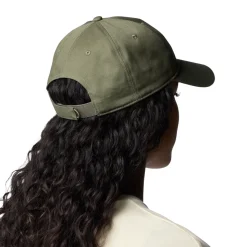 Columbia Provisions Cap (Stone Green)