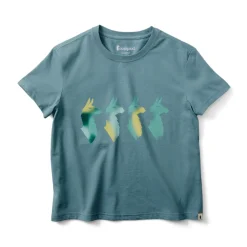Cotopaxi Cuatro Bitmap T-shirt, dame (Everglade)