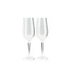 GSI Nesting Champagne Flute sæt