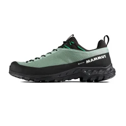 Mammut Alnasca IV Low GTX approachsko, herre (Deep Silver Sage / Pinea)