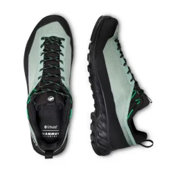 Mammut Alnasca IV Low GTX approachsko, herre (Deep Silver Sage / Pinea)