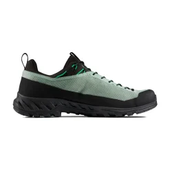 Mammut Alnasca IV Low GTX approachsko, herre (Deep Silver Sage / Pinea)