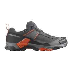 Salomon X Ultra 5 GTX vandresko, herre (Asphalt)