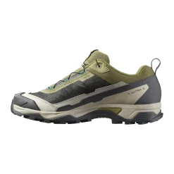Salomon X Ultra 5 vandresko, herre (Aloe Asphalt)